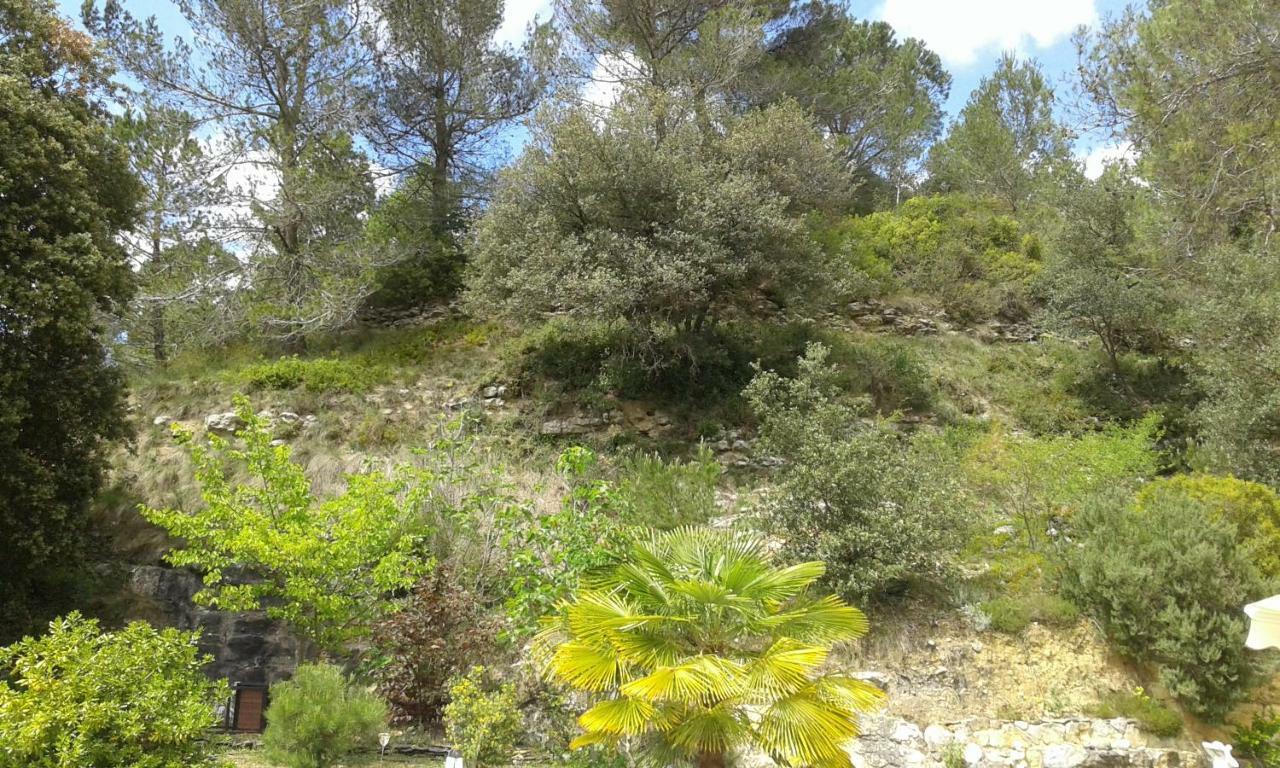 Gite Sud De France-Carcassonne Chez Lea Aragon Exteriér fotografie
